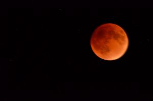 BloodMoon