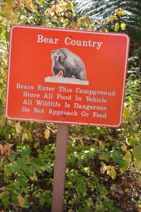BearCountry