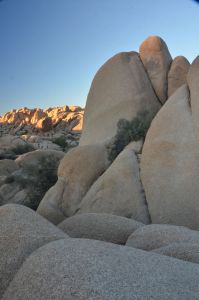 JoshuaRocks