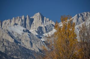 WhitneyFoliage