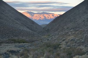 WildroseCamp